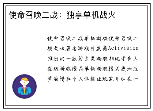 使命召唤二战：独享单机战火